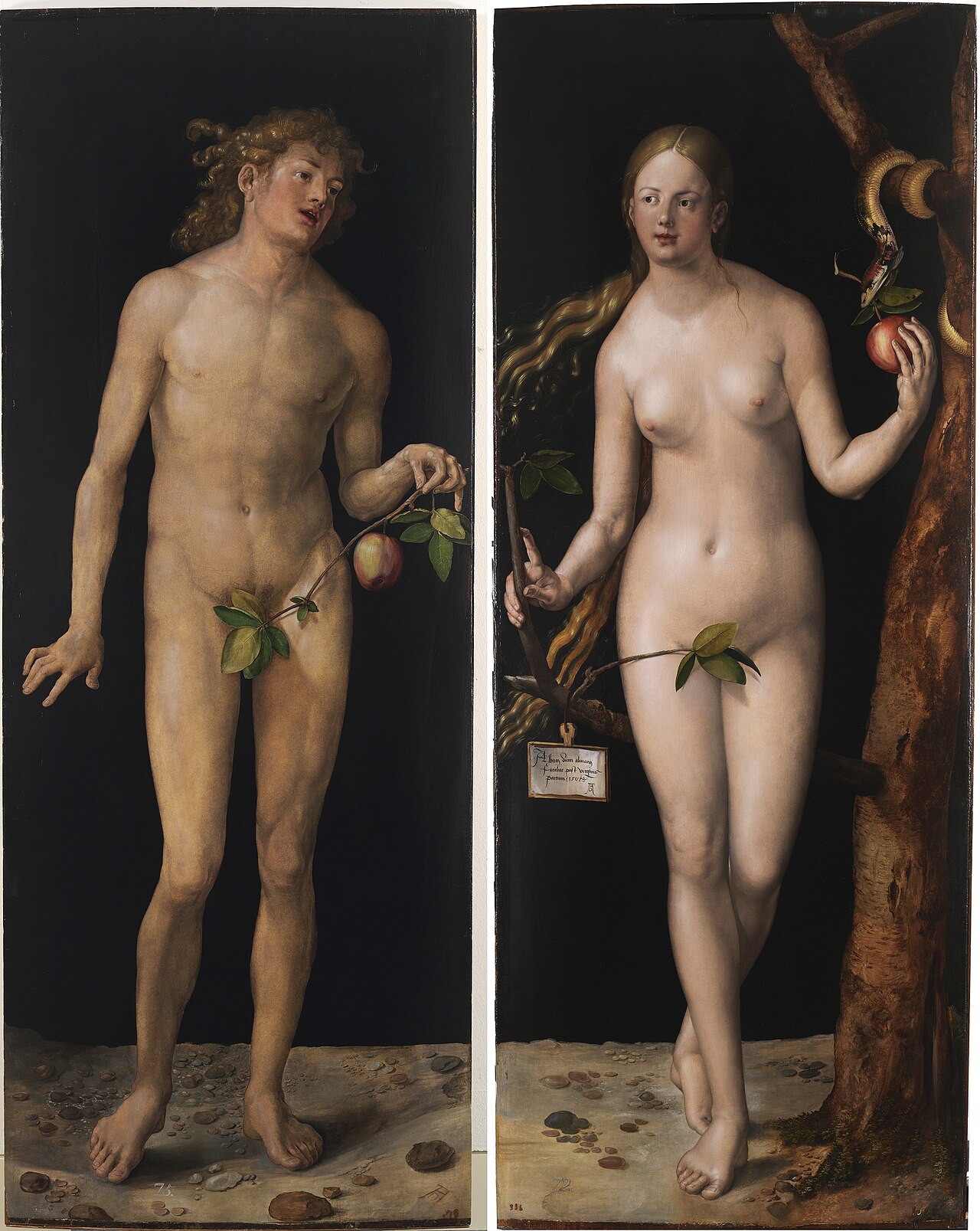 Adam and Eve by Albrecht Dürer (1507)