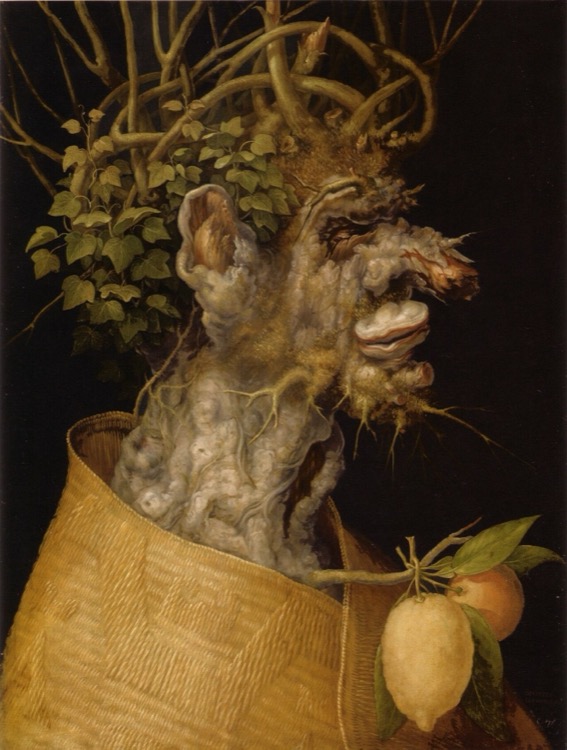 El invierno (1563) by Giuseppe Arcimboldo (1563)