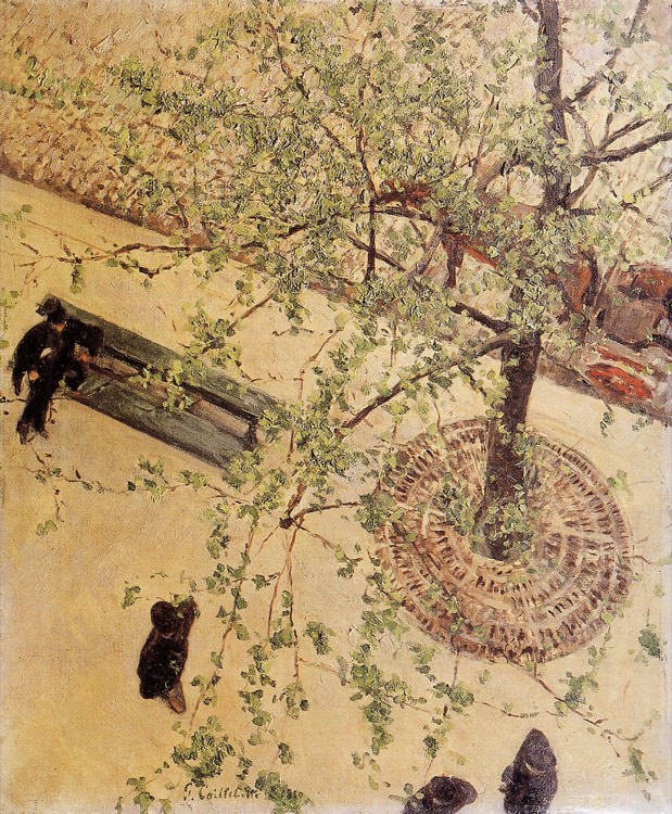Boulevard Seen from Above by Gustave Caillebotte (1880)