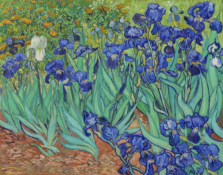 Van Gogh, Irises